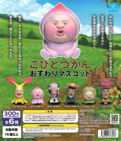 画像1: こびとづかん おすわりマスコット(再販)（９月）【■３００円カプセルトイ　４０個入り　クオリア】＋正規台紙