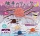 触手のリュック【♪４００円カプセルトイ　３０個入　さくら】＋正規台紙