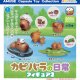 カピバラの日常フィギュア2（１０月）【△３００円カプセルトイ　４０個入り　アミューズ】＋正規台紙