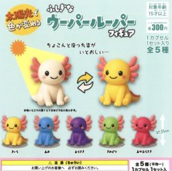 画像1: 太陽光で色が変わるふしぎなウーパールーパーフィギュア（１０月）【△３００円カプセルトイ　４０個入り　吉岡工業社】＋正規台紙１枚