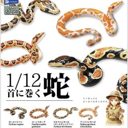画像1: １／１２首に巻く蛇（１０月）【△５００円カプセルトイ　２０個入り　レインボー】＋正規台紙