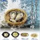 和食これくしょん日本の牡蠣料理（１０月）【△５００円カプセルトイ　２０個入り　レインボー】＋正規台紙