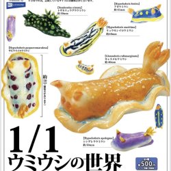 画像1: １／１　ウミウシの世界（１０月）【△５００円カプセルトイ　２０個入り　レインボー】＋正規台紙