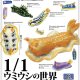 １／１　ウミウシの世界（１０月）【△５００円カプセルトイ　２０個入り　レインボー】＋正規台紙