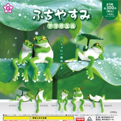 画像1: ふちやすみアマガエル（１０月）【△３００円カプセルトイ　４０個入り　エール】＋正規台紙