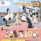 にゃんこチャンネル（再販）（１０月）【△３００円カプセルトイ　４０個入り　エール】＋正規台紙