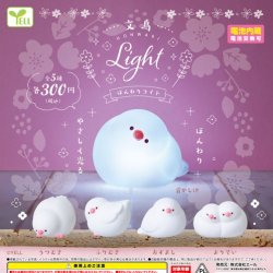 画像1: 文鳥ほんわりlight（再販）（１１月）【△３００円カプセルトイ　４０個入り　エール】＋正規台紙