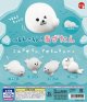 つるんころん！あざたん（１０月）【△２００円カプセルトイ　５０個入り　スタンバイ】＋正規台紙