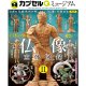 海洋堂カプセルＱミュージアム　「日本の至宝　仏像立体図録II」（１０月）【△４００円カプセルトイ　３０個入り　海洋堂】＋正規台紙