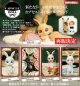 CAPSULE DOLL vol.3 bunny（再販）（１０月）【△５００円カプセルトイ　２０個入り　ＨＭＡ】＋正規台紙