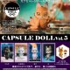 CAPSULE DOLL vol.5（１０月）【△５００円カプセルトイ　２０個入り　ＨＭＡ】＋正規台紙