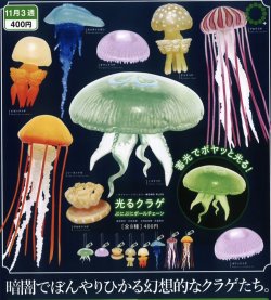画像1: NTC MONO+ 光るクラゲ ぷにぷにボールチェーン（１１月）【▲４００円カプセルトイ　３０個入り　いきもん】＋正規台紙