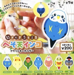 画像1: にぎにぎころころ　へそ天インコ　アクリルキーホルダー（１１月）【▲２００円カプセルトイ　５０個入り　funbox】＋正規台紙