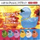 いかついアヒルミニマグネット（１１月）【▲１００円カプセルトイ　１カートン８００個入り　榎並産業】