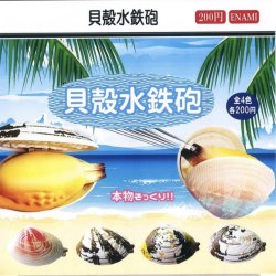 画像1: 貝殻水鉄砲（１１月）【▲２００円カプセルトイ　１カートン４００個入り　榎並産業】