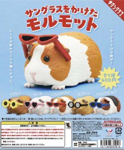 画像1: サングラスをかけたモルモット（再販）（１１月）【▲４００円カプセルトイ　３０個入り　奇譚クラブ】＋正規台紙