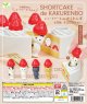 ショートケーキ ｄｅ かくれんぼ（１２月）【▲３００円カプセルトイ　４０個入り　エール】＋正規台紙