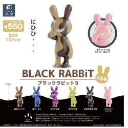 画像1: ＳＯ－ＴＡ／▲ＴＦＣ　BLACK RABBiT9（１１月）