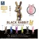 ＳＯ－ＴＡ／▲ＴＦＣ　BLACK RABBiT9（１１月）