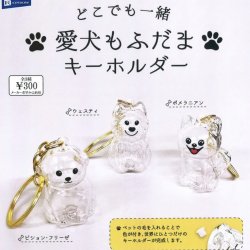 画像1: どこでも一緒 愛犬もふだまキーホルダー（１１月）【▲３００円カプセルトイ　４０個入り　レインボー】＋正規台紙