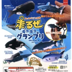 画像1: ラックギア機能　走るぜギョギョグランプリ（１１月）【▲２００円カプセルトイ　５０個入り　ビーム】＋正規台紙