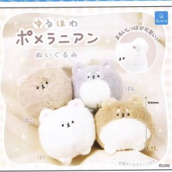 画像1: ゆるほわポメラニアン ぬいぐるみ（再販）（１１月）【▲４００円カプセルトイ　３０個入り　クオリア】＋正規台紙