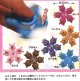 くまさんハンドスピナー（１１月）（▲３００円カプセルトイ　５０個入り　共同】＋正規台紙