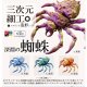 三次元細工 深淵の蜘蛛（１１月）【▲３００円カプセルトイ　４０個入り　くりんぼう】＋正規台紙