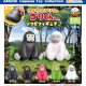 ウホウホゴリラのゴリくんソフビフィギュア2（１２月）【▽３００円カプセルトイ　４０個入り　アミューズ】＋正規台紙