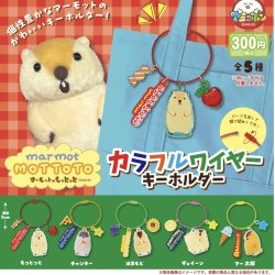 画像1: マーモットのもっとっとカラフルワイヤーKH（１２月）【▽３００円カプセルトイ　４０個入り　アミューズ】＋正規台紙