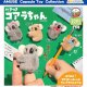 だきつきコアラちゃん（１２月）【▽３００円カプセルトイ　４０個入り　アミューズ】＋正規台紙