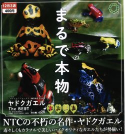 画像1: NTC MONO+ ヤドクガエル The BEST（再販）（１２月）【▽４００円カプセルトイ　３０個入り　いきもん】＋正規台紙