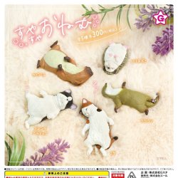 画像1: すやすやおねむ（再販）（１２月）【▽３００円カプセルトイ　４０個入り　エール】＋正規台紙