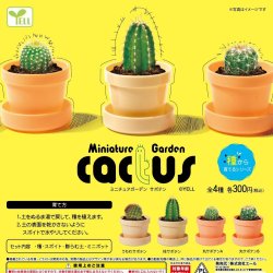 画像1: ミニチュアガーデン－サボテン－（１２月）【▽３００円カプセルトイ　４０個入り　エール】＋正規台紙