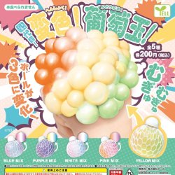 画像1: 四代目！変色！葡萄玉！（１２月）【▽２００円カプセルトイ　４０個入り　エール】＋正規台紙