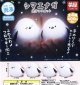 ふわっと光るシマエナガ光るマスコット（再販）（１２月）【▽４００円カプセルトイ　３０個入り　夢屋】＋正規台紙