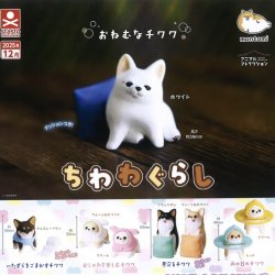 画像1: ちわわぐらし（１２月）【▽３００円カプセルトイ　４０個入り　S・ストーンズ】＋正規台紙