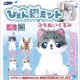 ぴえん猫ミント ぷちぬいぐるみ（１２月）【▽５００円カプセルトイ　２０個入り　レインボー】＋正規台紙