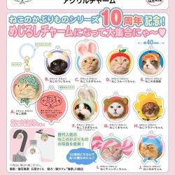 画像1: かわいいかわいいねこのかぶりもの　アクリルチャーム（１２月）【▽３００円カプセルトイ　４０個入り　奇譚クラブ】＋正規台紙