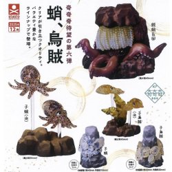 画像1: 蛸、烏賊（１２月）【▽４００円カプセルトイ　３０個入り　S・ストーンズ】＋正規台紙