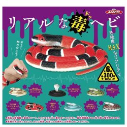 画像1: リアルな毒ヘビ（１２月）【▽３００円カプセルトイ　４０個入り　アクセス】＋正規台紙