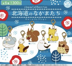 画像1: 北海道のなかまたちチャームコレクション（再販）（１２月）【▽３００円カプセルトイ　４０個入り　石川玩具】＋正規台紙