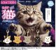 猫メタルチャーム（１月）【▼３００円カプセルトイ　４０個入り　石川玩具】＋正規台紙
