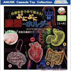 画像1: ぷにぷに臓器－ホルダー（再販）（１月）【▼３００円カプセルトイ　４０個入り　アミューズ】＋正規台紙