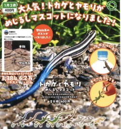 画像1: NTC MONO+ トカゲとヤモリ めじるしマスコット（１月）【▼４００円カプセルトイ　３０個入り　いきもん】＋正規台紙