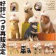 あかねの木彫り　アヒルと犬（再販）（１月）【▼５００円カプセルトイ　２０個入り　奇譚クラブ】＋正規台紙