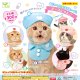 ねこのへんしんコスチュームーナースにゃんこー（再販）（１月）【▼３００円カプセルトイ　４０個入り　エール】＋正規台紙
