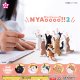 ＮＹＡｏｏｏｏ！！２（再販）（１月）【▼３００円カプセルトイ　４０個入り　エール】＋正規台紙