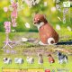ふり向けば君が犬－歩みー（２月）【▼２００円カプセルトイ　５０個入り　エール】＋正規台紙