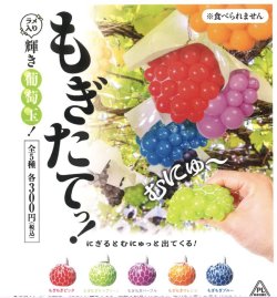 画像1: もぎたてっ！輝き葡萄玉！（１月）【▼３００円カプセルトイ　４０個入り　ビーム】＋正規台紙